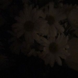 Meet your Posher, Dennis